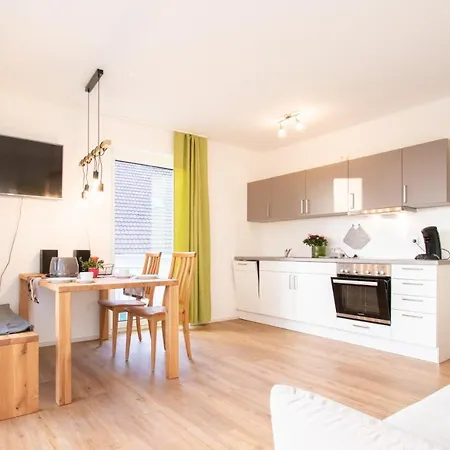 Haas * 프리드리히스하펜