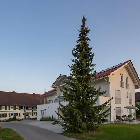 Haas * 프리드리히스하펜